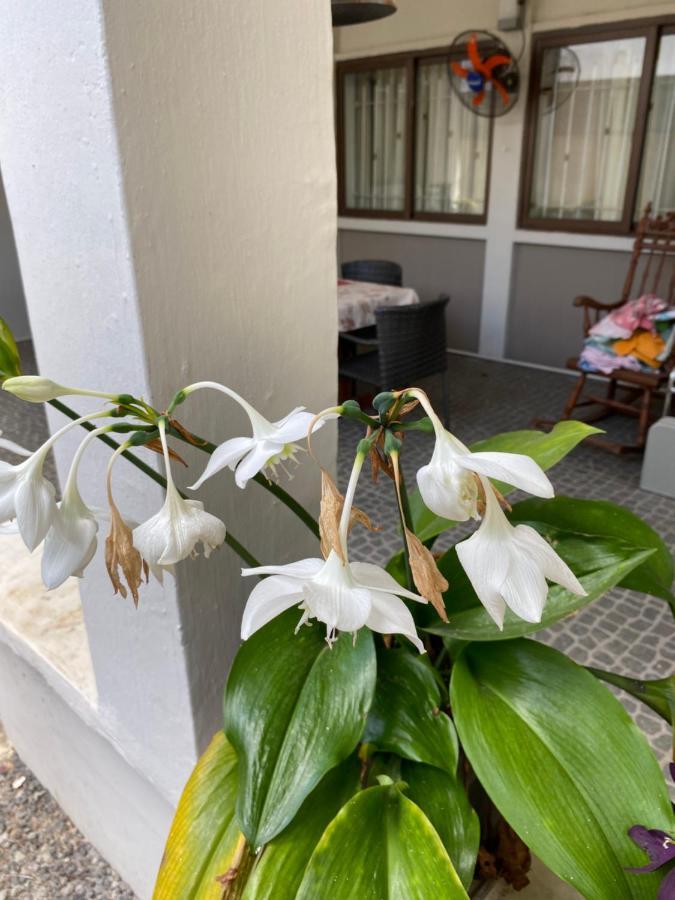 Gardenia Apartments Pereybere Beach Eksteriør bilde